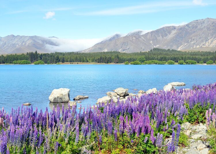 Australia and New Zealand